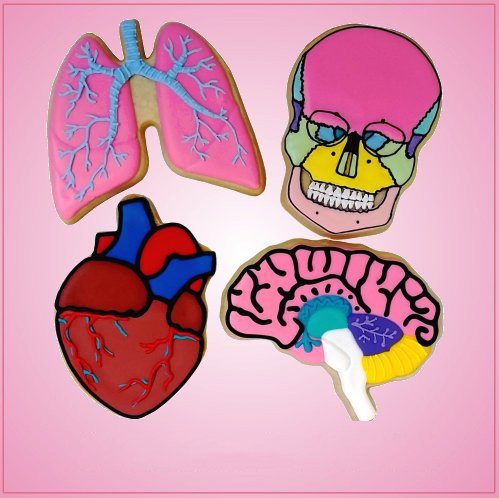 Anatomy Cookie Cutter Set