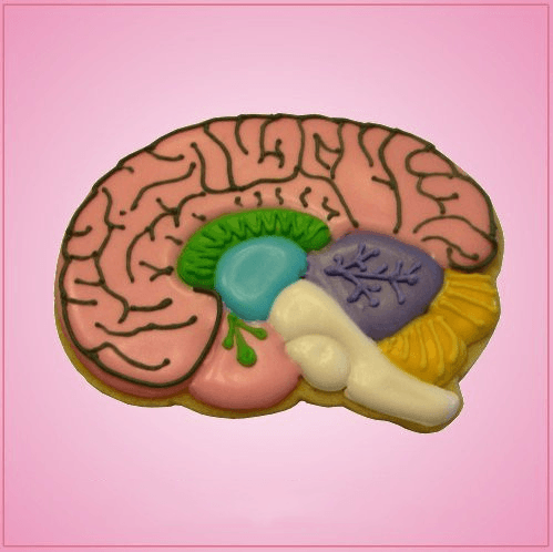 Brain Cookie Cutter 