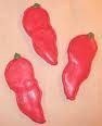 Chili Pepper Cookie Cutter 